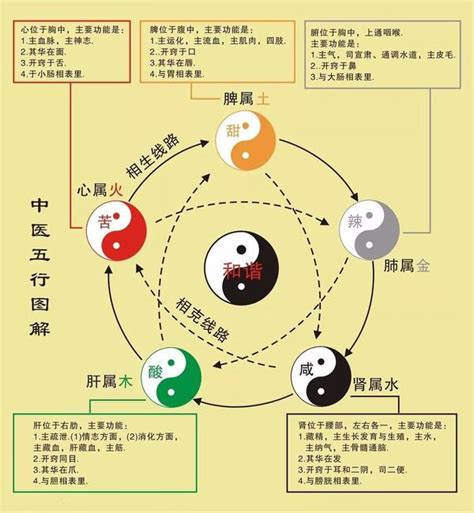 心 五行|心字的五行属性